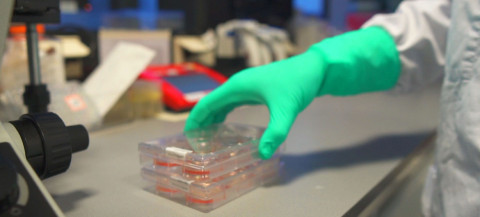 Estados Unidos priorizará envío de vacunas a Latinoamérica