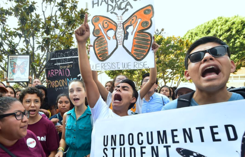 Maestros y alumnos de Harvard son arrestados por protesta contra Trump