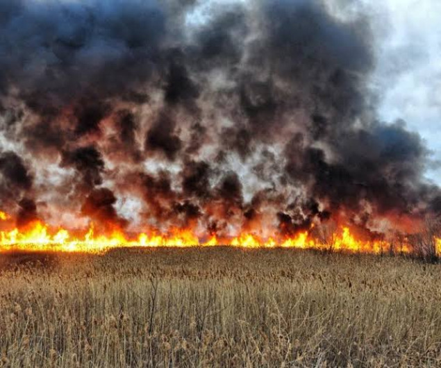 Bomberos responder a incendio en Sullivan City