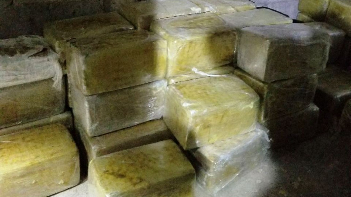 Incautan 536 kg de marihuana en Miguel Alemán