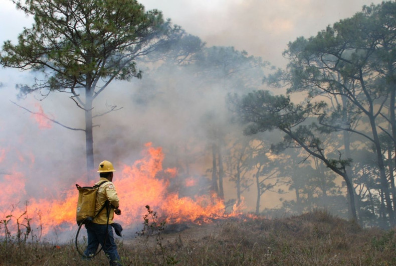 Temporada de incendios forestales abarca nueve meses del año 