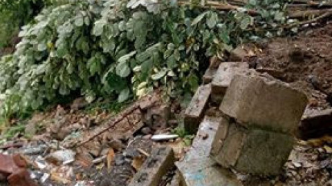 Cae árbol y daña una barda en Tampico