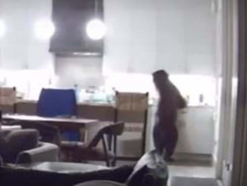 Dos jóvenes se encuentran con el oso ‘Yogui’ de la vida real