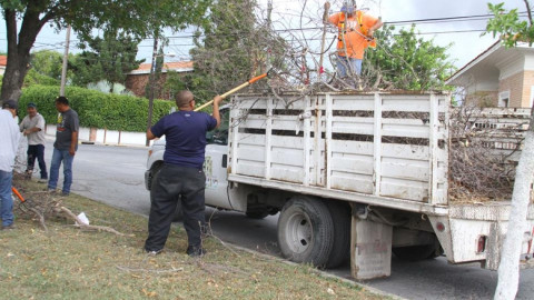 Realizan brigada de limpieza