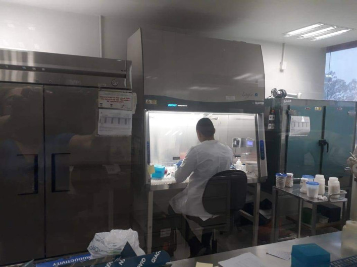 Tamaulipas suma 169 nuevos casos y 11 decesos por COVID-19 