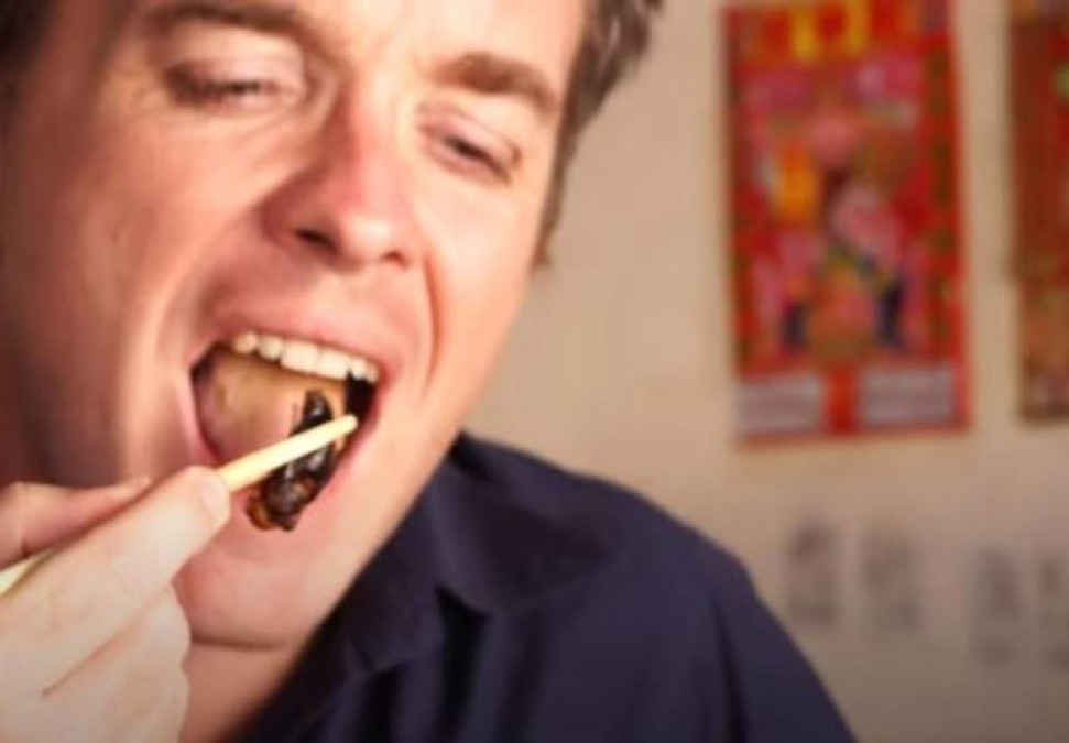 La “avispa asesina asiática”, la extravagante sensación culinaria de Japón