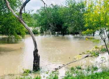 Alerta por creciente del Rio Bravo en Matamoros y presencia de cocodrilos