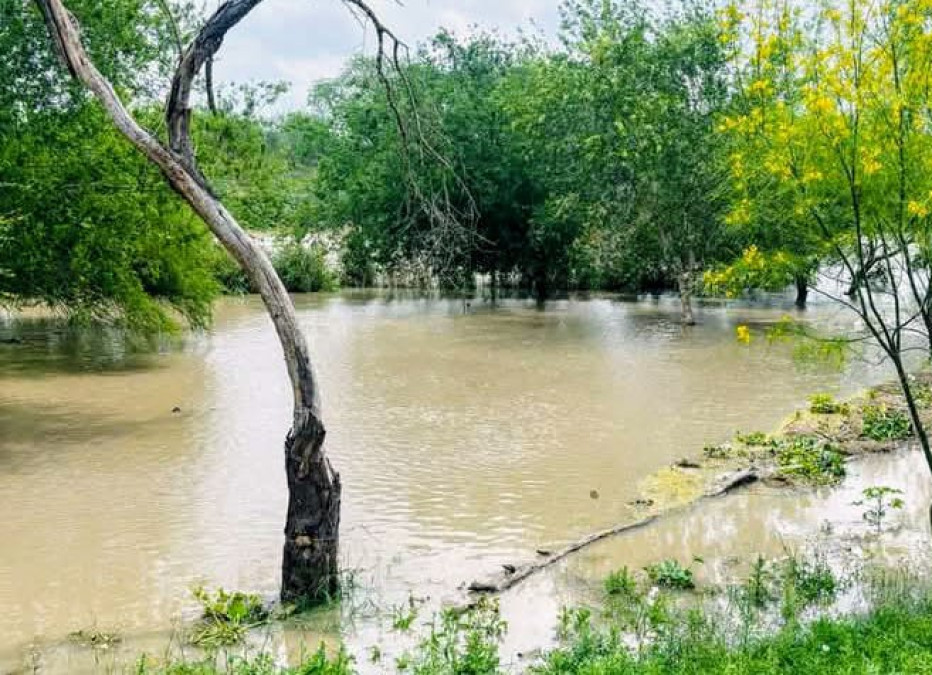 Alerta por creciente del Rio Bravo en Matamoros y presencia de cocodrilos