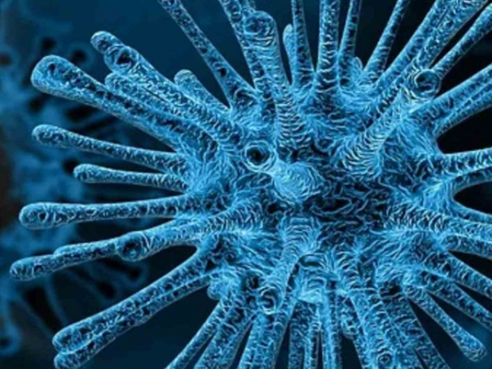 OMS invita a China para colaboración en investigación