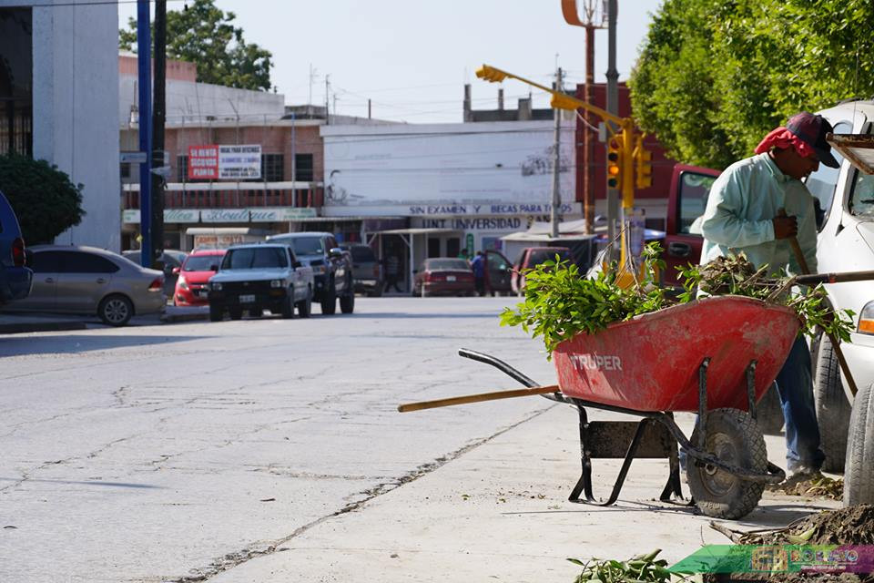 CSPP realiza labores de limpieza y mantenimiento