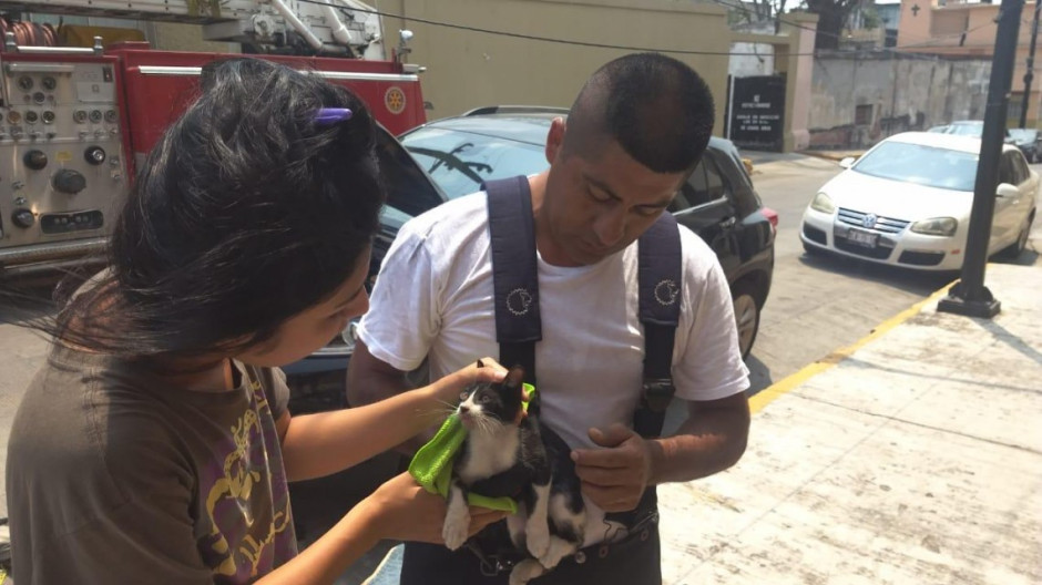 Bomberos al rescate, ponen a salvo a mascota atrapada en vehículo