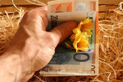 Jóvenes prefieren trabajos en el extranjero: SNE