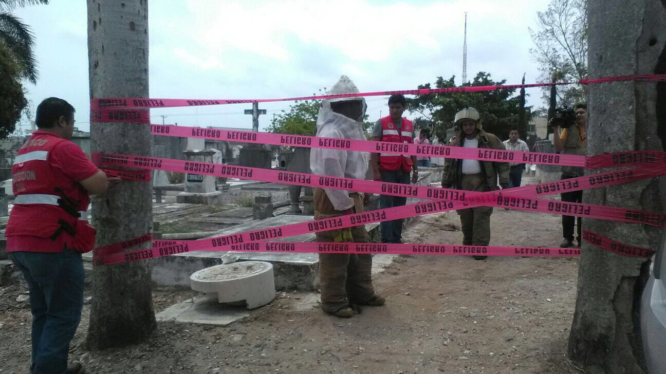 Abejas africanizadas causan pánico en panteón privado