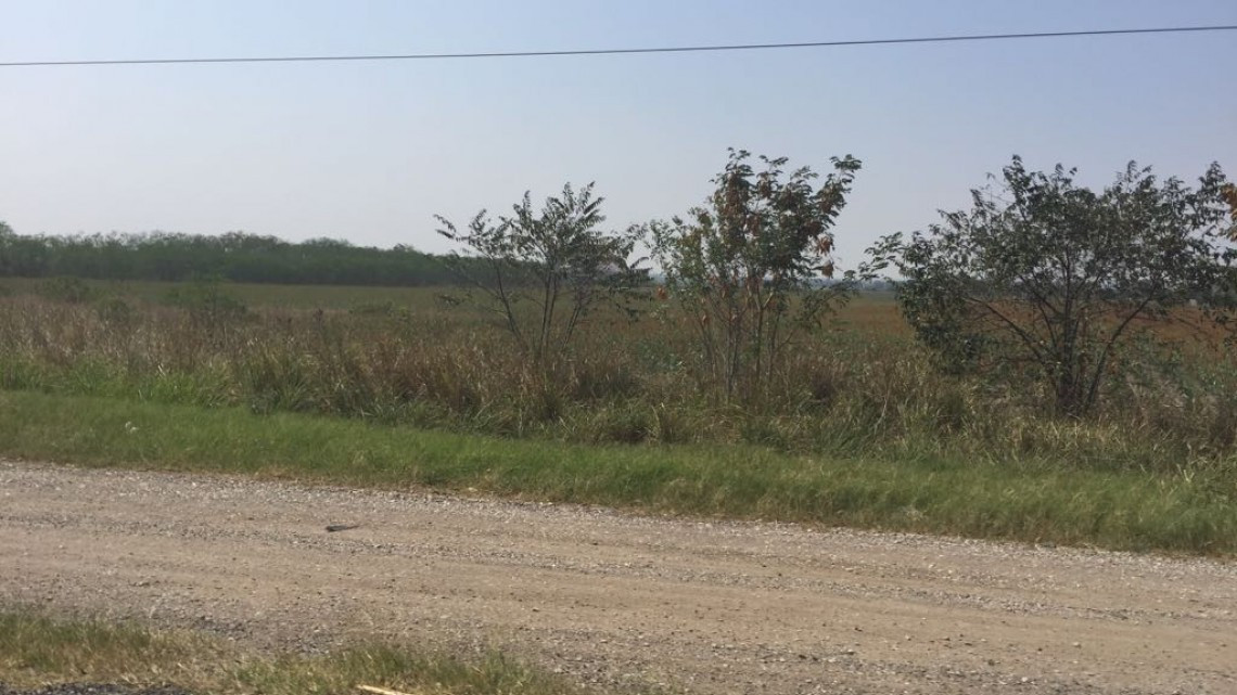 Continuarán rellenando área de amortiguamiento pluvial