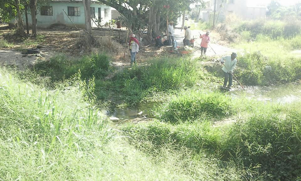 Realizan trabajos de limpieza en la colonia 15 de mayo en Madero