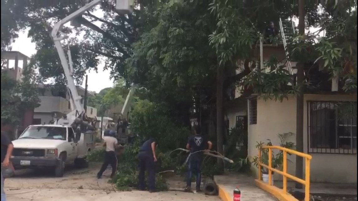 Talan árboles que afectan cableado eléctrico