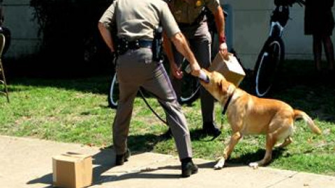 Invita DPS a Día del Museo en Austin