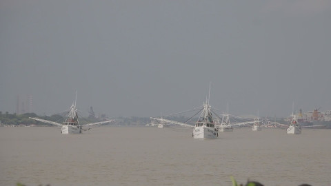 Es flota camaronera tamaulipeca, la más grande del Golfo de México