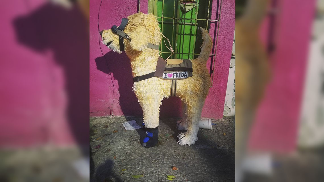 Crean piñata en honor a "Frida"
