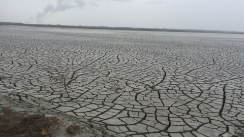 La deforestación afecta más de la mitad de las tierras en la zona sur de Tamaulipas.