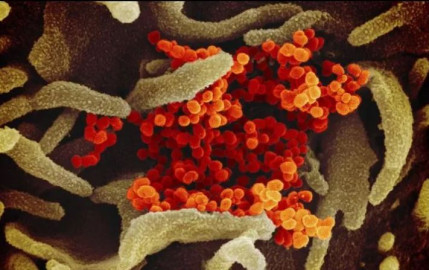 Inicia AstraZeneca pruebas contra la variante beta 