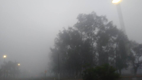 Amanece Tampico entre densa neblina
