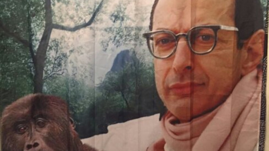 Las doce cortinas de baño que causan alegría en Twitter