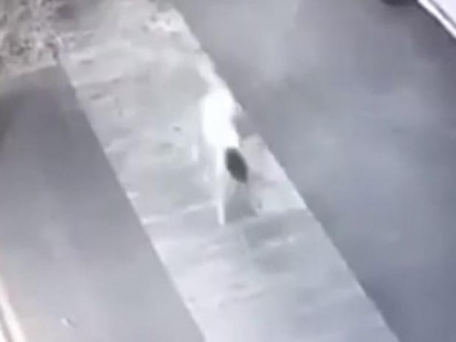 Video perturba a usuarios en redes