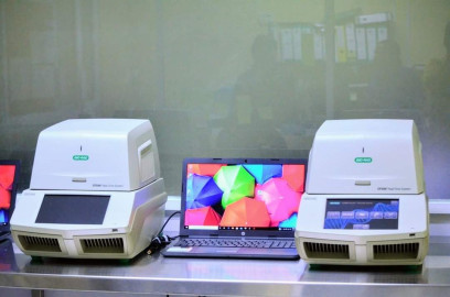 Tamaulipas reporta 55 nuevos casos de COVID-19 