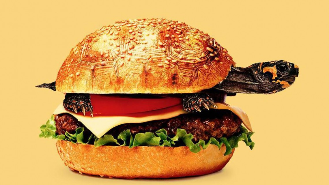 13 imágenes que engañarán a tu cerebro