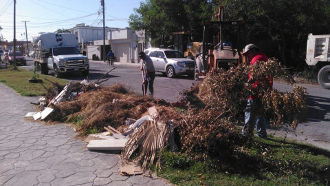 Sanean cuadrillas municipales plaza de Valle Dorado