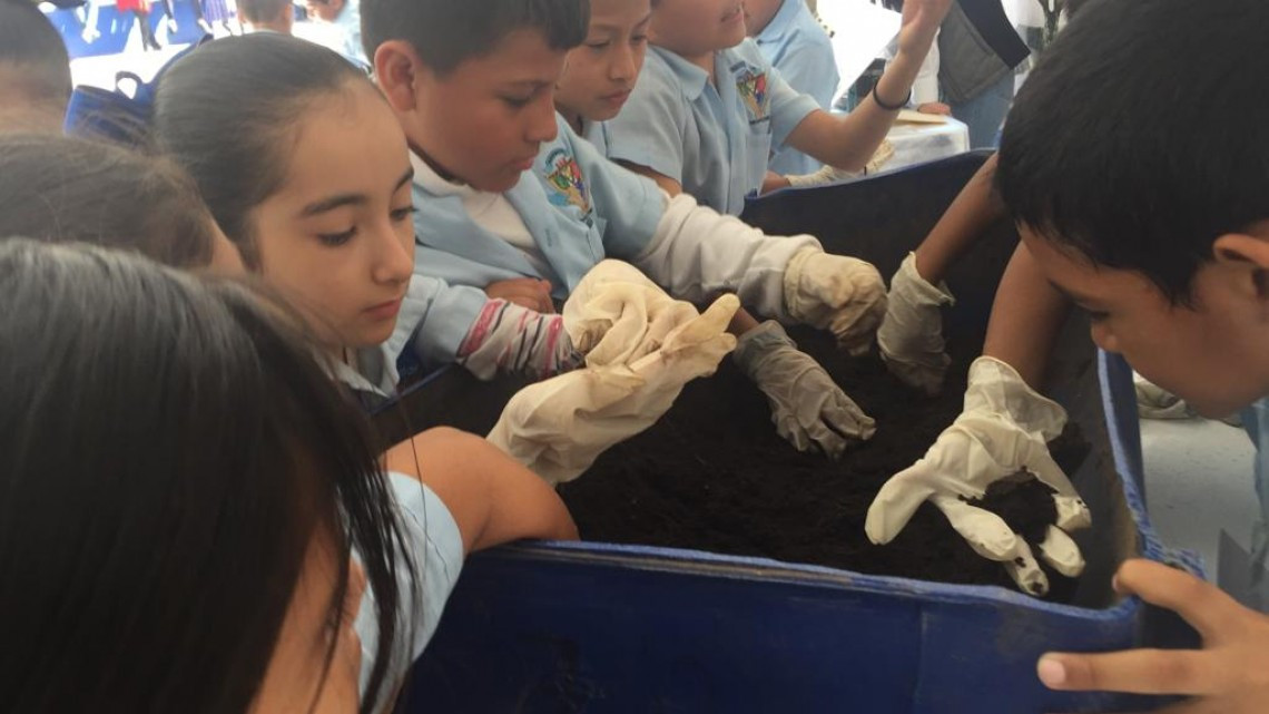 Escuelas de educación básica a su máximo tope en Altamira