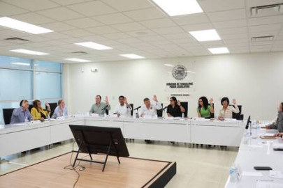 Avalan comisiones homologación del delito de feminicidio con el Código Penal Federal