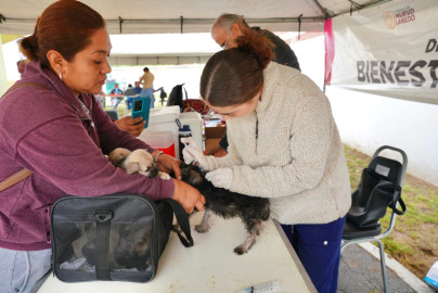 Programa ‘Presidencia Cerquita de Ti’ fortalece la cercanía del gobierno con vecinos de Buenavista