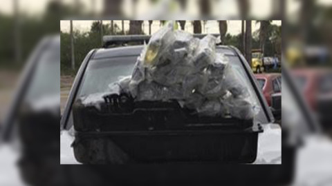 Hallan 24 paquetes de marihuana en el Condado Willacy