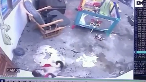 Gato salva a niño de caer por las escaleras