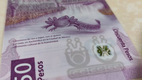 Otra vez: Billete de 50 pesos de México gana como mejor diseño a nivel mundial