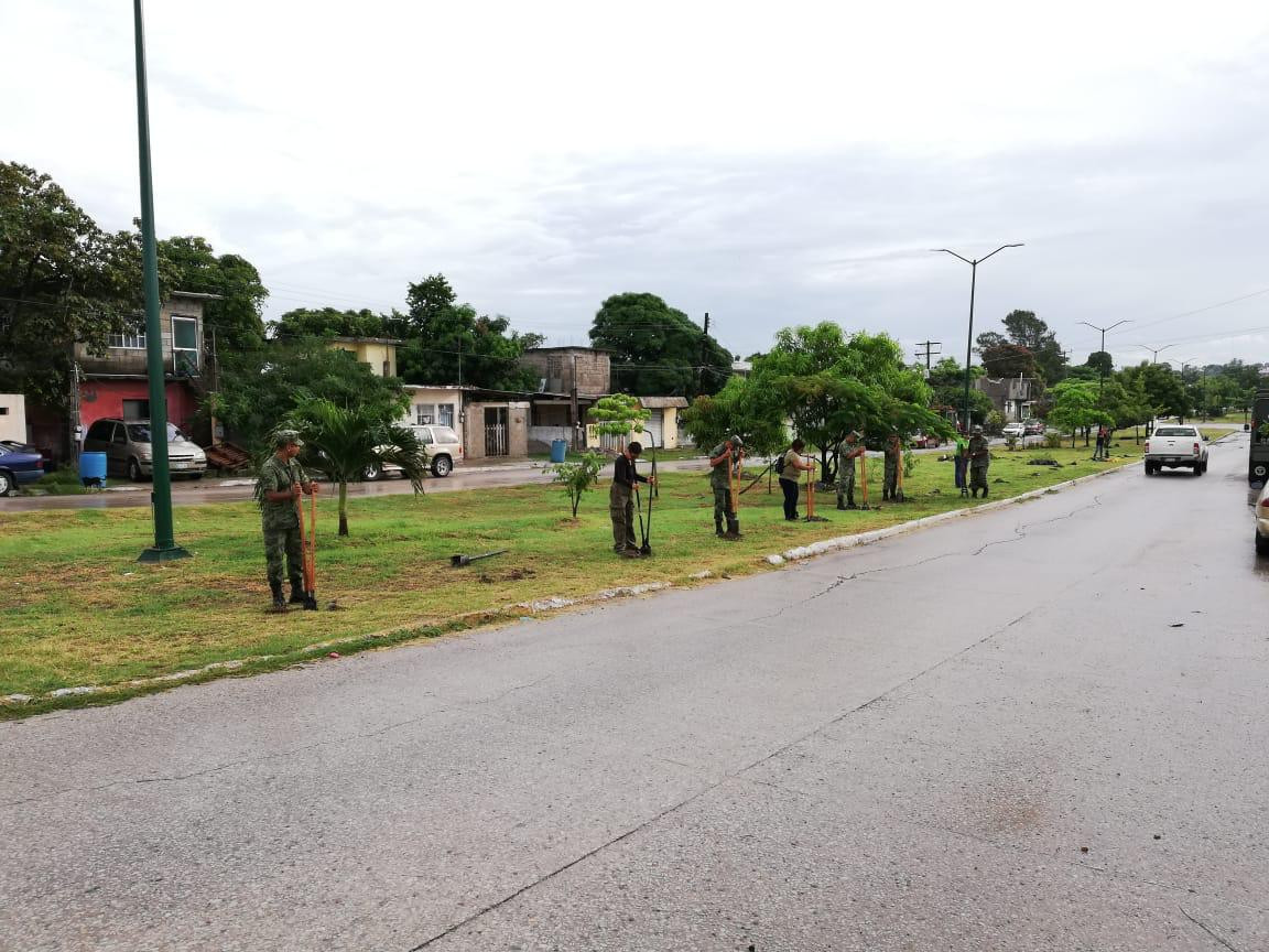 Soldados siembran más de cien árboles en la Borreguera