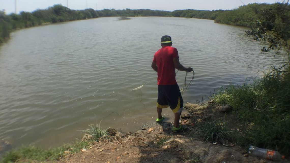Pescadores de lagunas interiores, arriesgan su vida, al trabajar cerca de los cocodrilos
