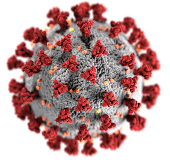 Tamaulipas supera los 8 mil casos de coronavirus 