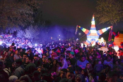 Encendido de pino navideño impulsa fuertemente ventas de comercio en el Viveros