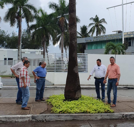 Moderniza Chucho Nader imagen urbana de la ciudad