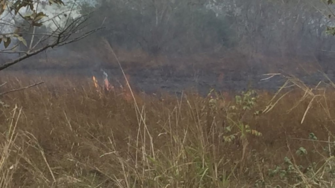 Serios daños e incendios genera fuerte norte en el sur de Tamaulipas