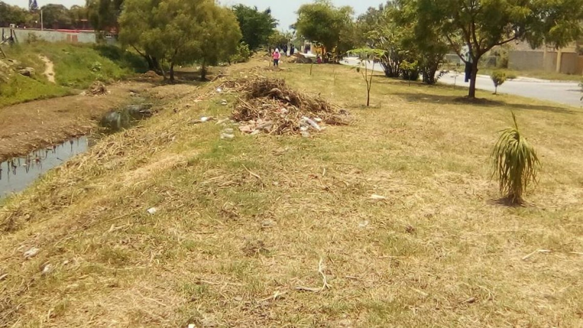 Realizan trabajos de limpieza y desazolve en Canal de Madero