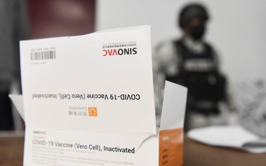 Tamaulipas no aplicará vacunas contra el COVID-19 de Sinovac que llegaron con altas temperaturas: Gloria Molina Gamboa 