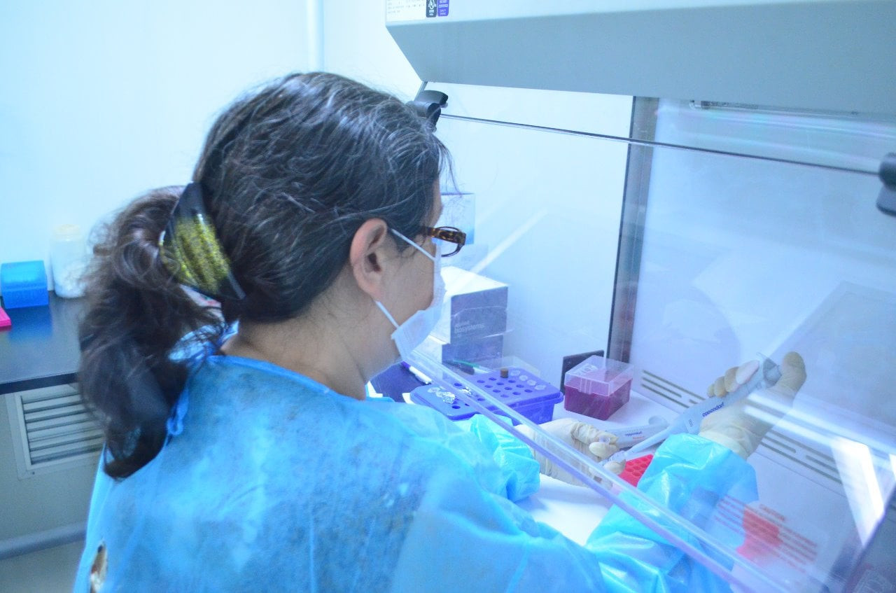 Confirman pruebas de laboratorio 74 nuevos contagios de #COVID19 en Tamaulipas 