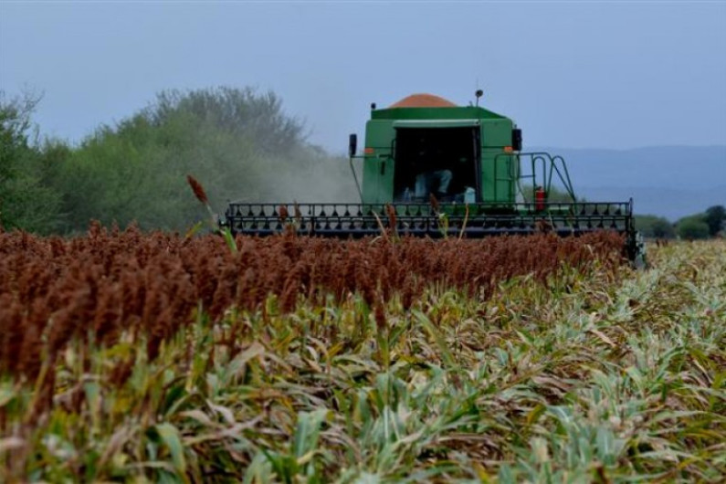 Secretaría de Desarrollo Rural apoya a agricultores