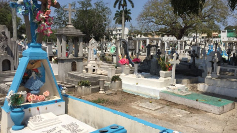 Fumigan panteones para evitar proliferación de moscos