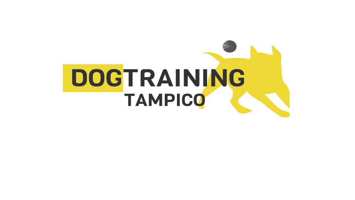 Dogtraining Tampico, entrenamiento y pasión por los caninos