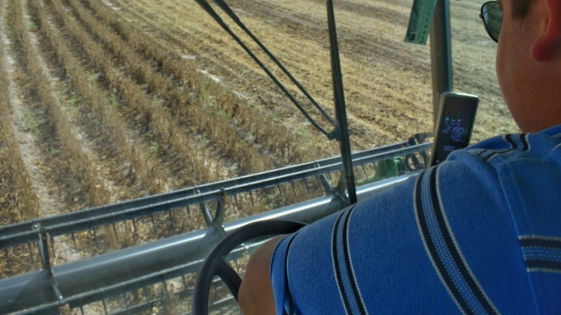 Productores de El Mante son beneficiados con la entrega de semilla de soya